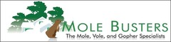 Mole Busters LLC