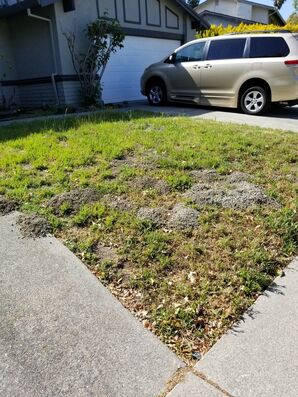 Gopher Control Services in Union City, CA (1)