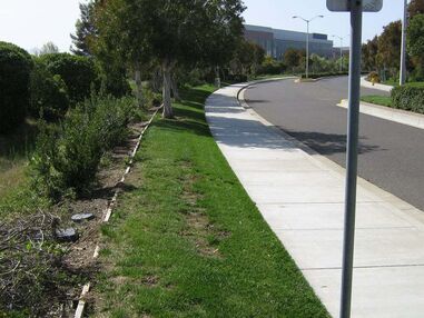 Gopher Control in San Jose, CA (1)